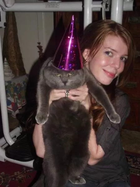 Cute and funny animals caught in pictures - #23 