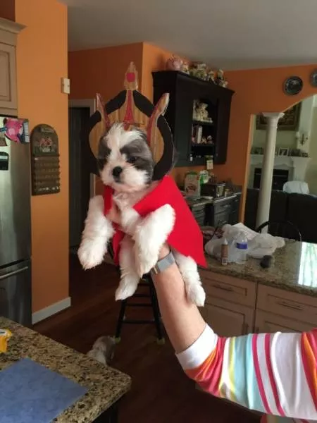 Animaux mignons et hilarants captures en photo - #27 
