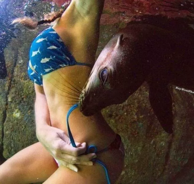 Cute and funny animals caught in pictures - #40 