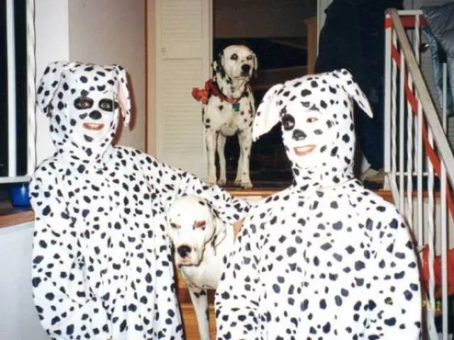 Animaux mignons et hilarants captures en photo - #43 