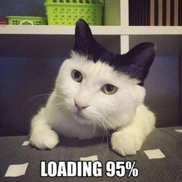Animaux mignons et hilarants captures en photo - #5 