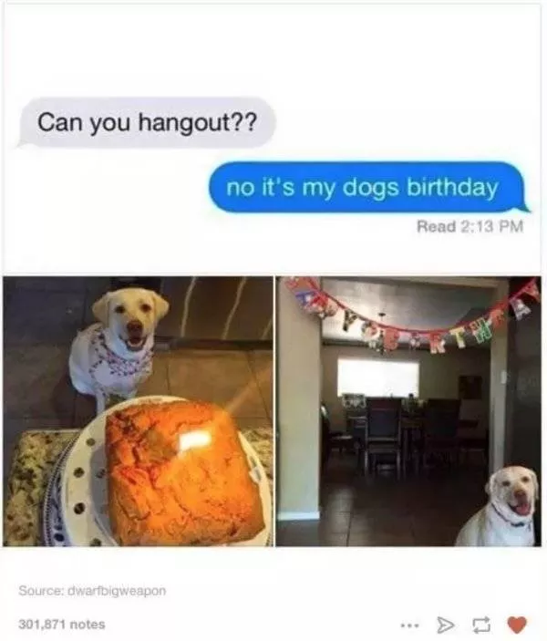 Animaux mignons et hilarants captures en photo - #57 
