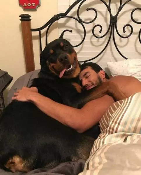 Cute and funny animals caught in pictures - #60 