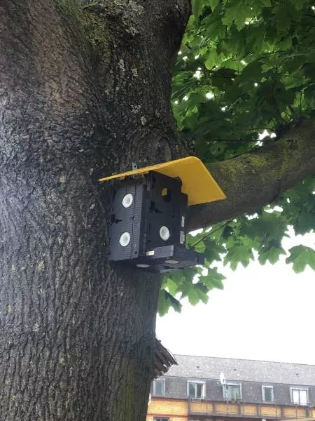 Picdump 425 - #1 
