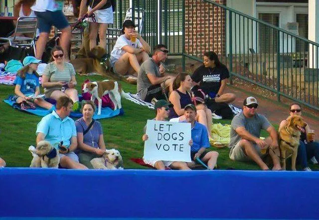 Picdump 429 - #16 