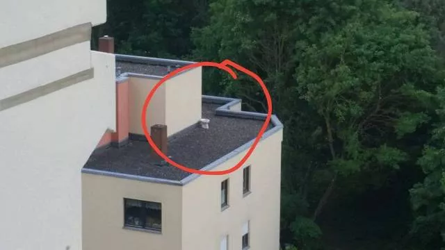 Picdump 429 - #31 