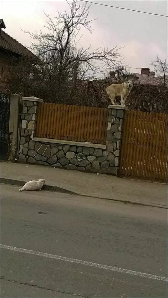 Picdump 429 - #32 