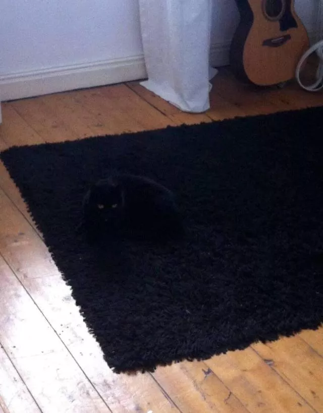 Picdump 429 - #70 