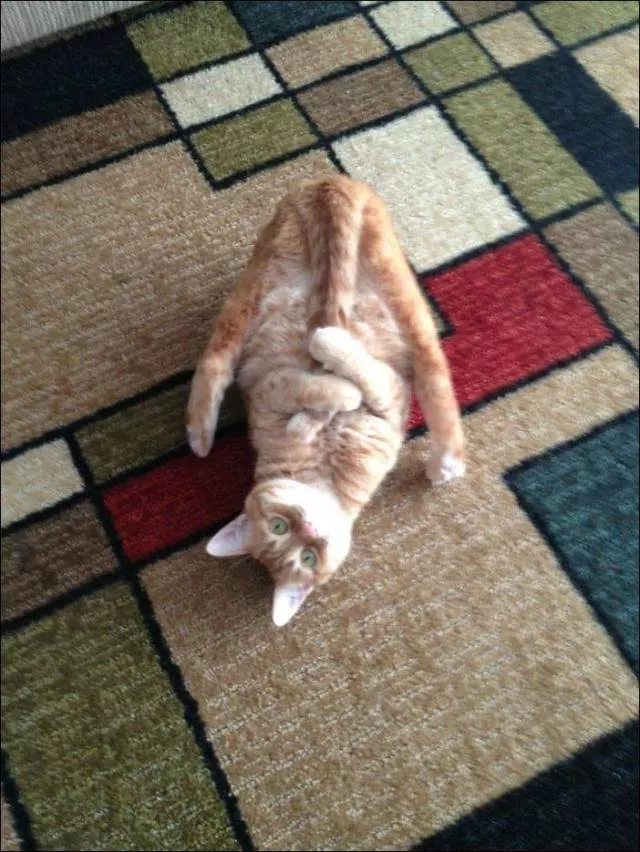 Picdump 429 - #8 
