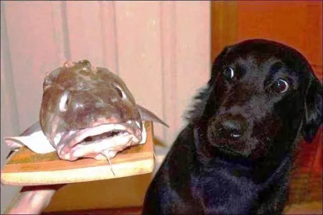 Picdump 429 - #82 