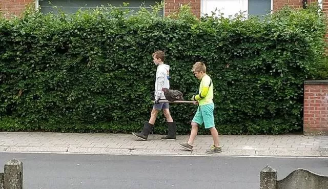 Picdump 429 - #90 