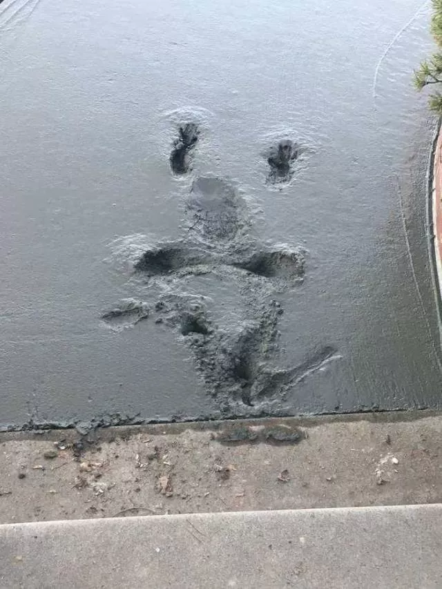 Picdump 429 - #91 