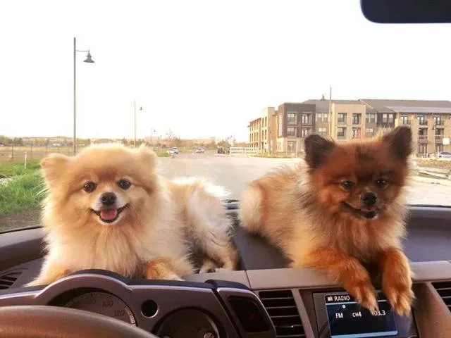 Picdump 429 - #96 