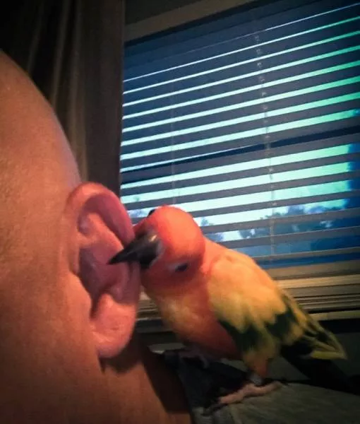 Ce nest pas assez facile de prendre un joli selfie - #40 
