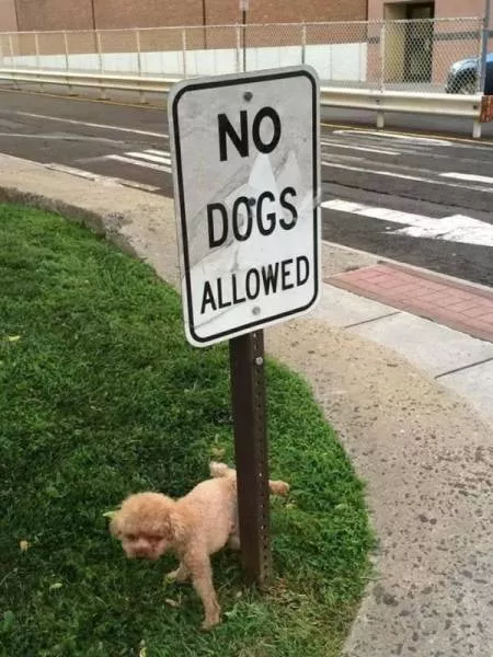 Nothing and nobody can stop them - #7 