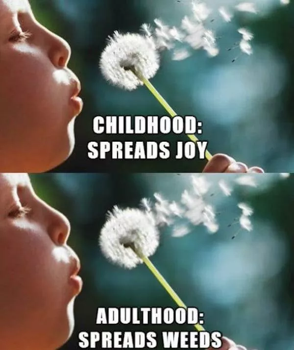 La difference entre adultes et enfants - #5 