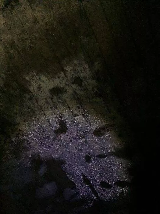 A hidden secret here - #17 