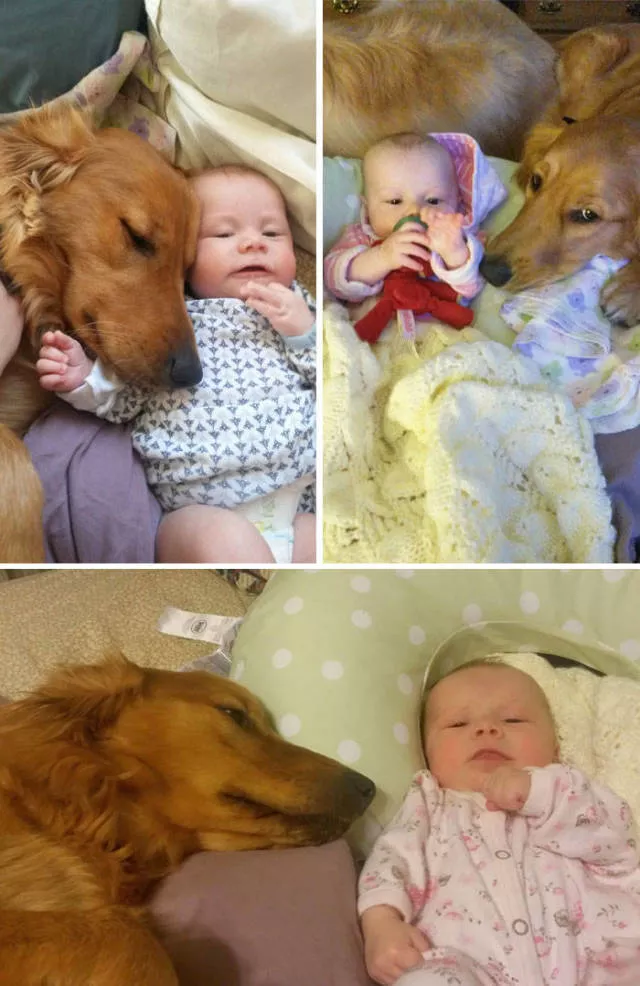 The love of dogs - #12 