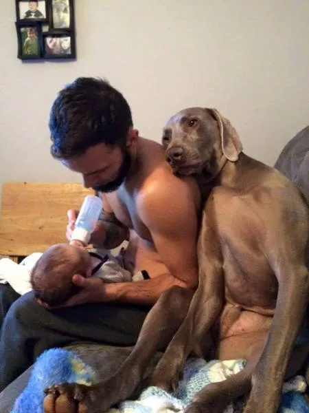 The love of dogs - #19 