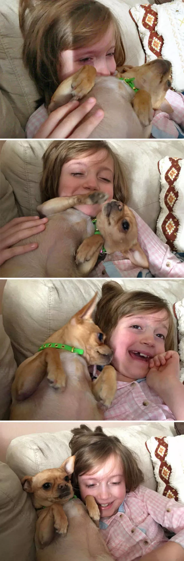 The love of dogs