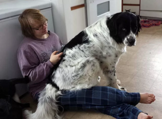 The love of dogs - #27 