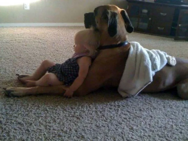 The love of dogs - #30 