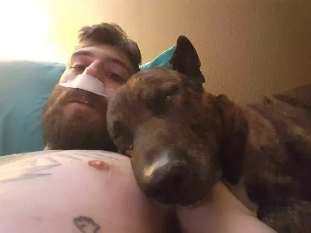 The love of dogs - #31 