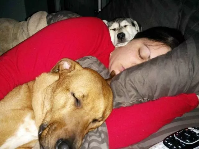 The love of dogs - #33 
