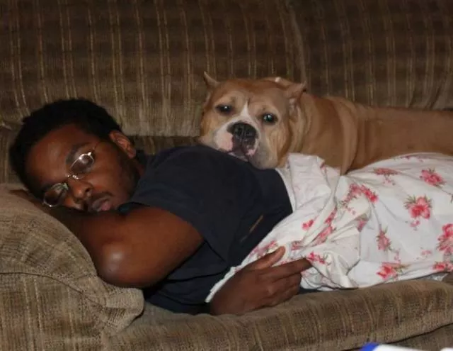 The love of dogs - #34 