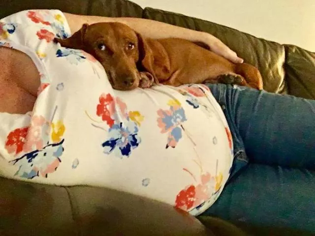 The love of dogs - #38 