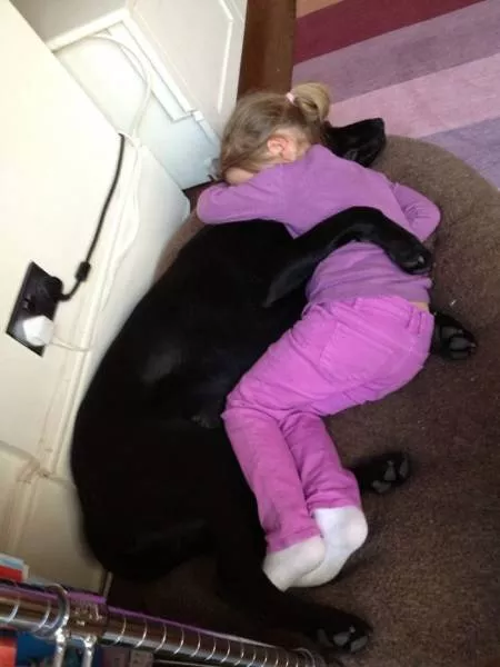 The love of dogs - #4 