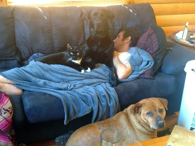 The love of dogs - #6 