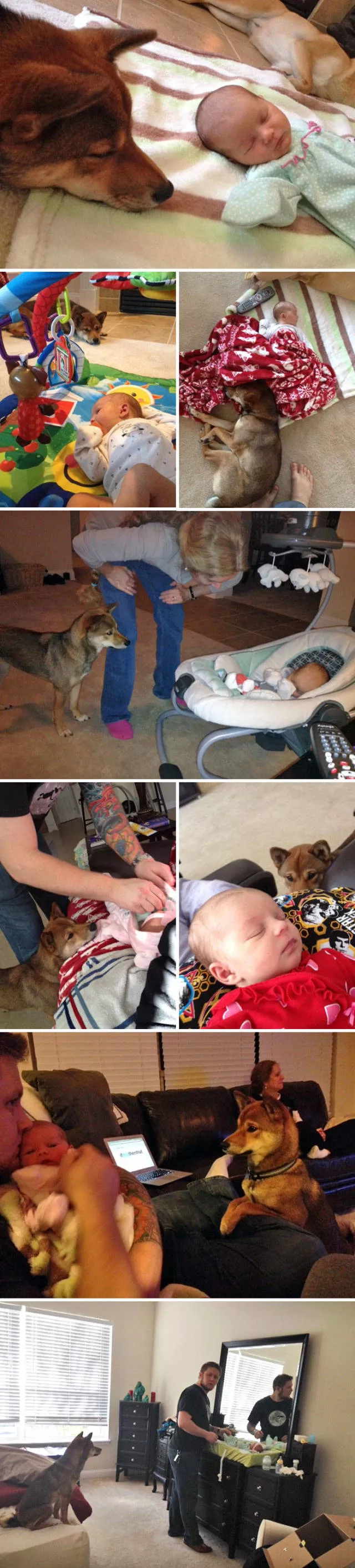 The love of dogs - #7 