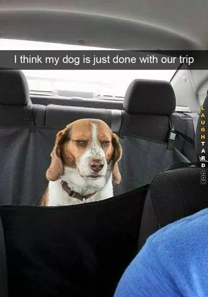 Picdump 430 - #6 