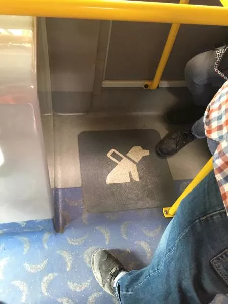Picdump 431 - #2 