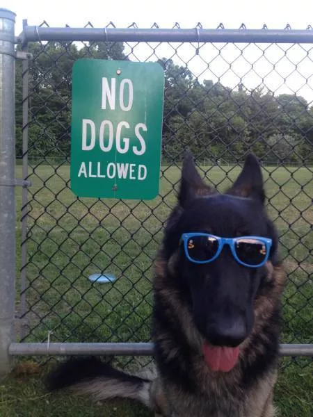 Picdump 431 - #26 