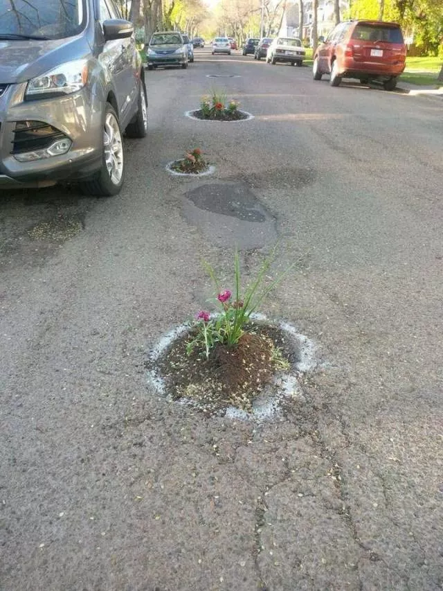 Picdump 431 - #41 