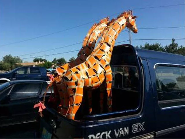 Picdump 431 - #50 
