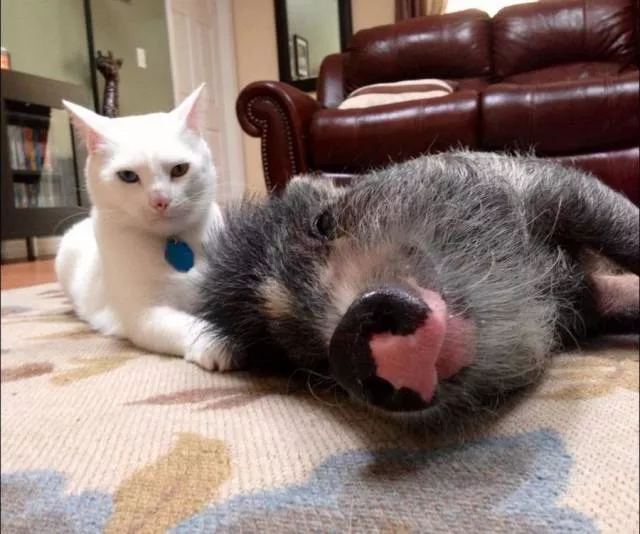 Picdump 432 - #10 