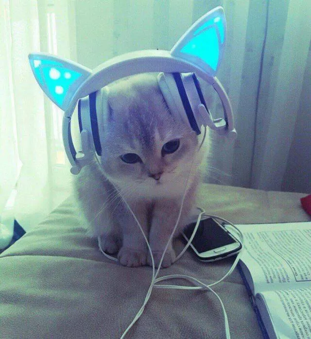 Picdump 432 - #14 