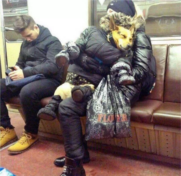 Picdump 432 - #19 