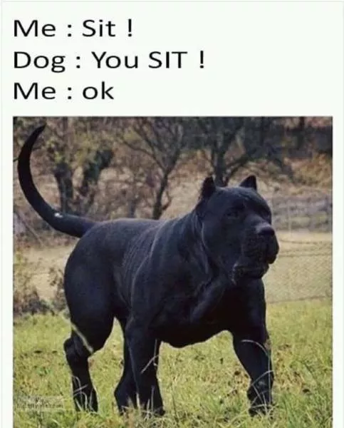 Top des memes hilarantes - #18 