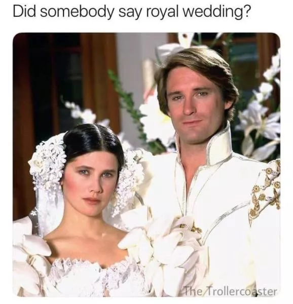 Best of hilarious memes - #31 