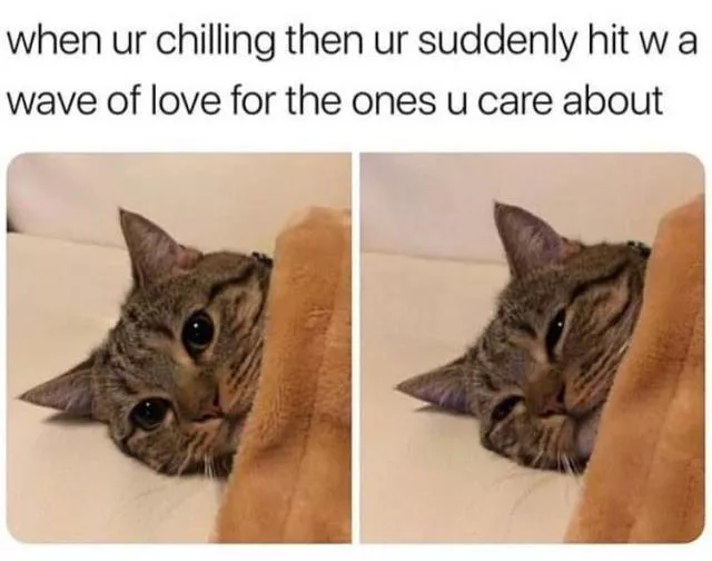 Best of hilarious memes - #59 
