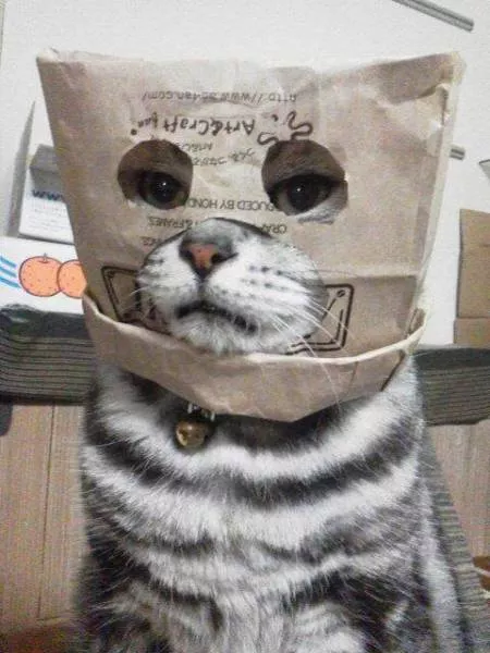 Picdump 434 - #11 