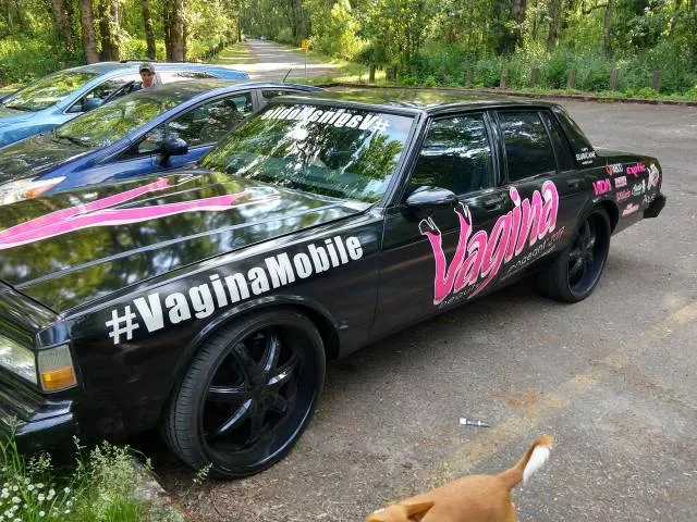 Picdump 434 - #27 