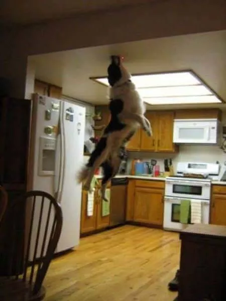Picdump 434 - #43 