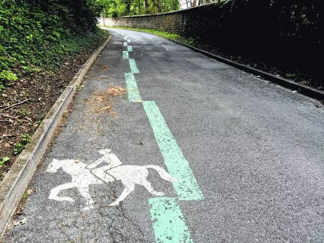 Picdump 434 - #51 