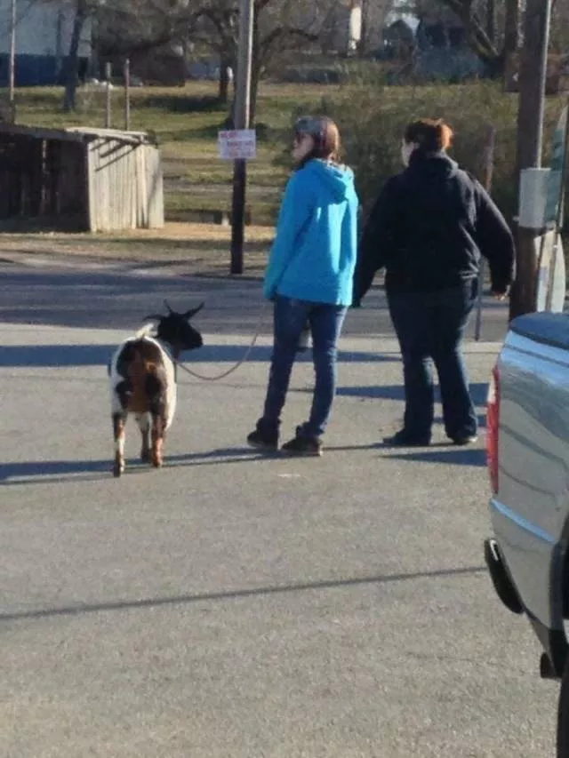Picdump 434 - #8 