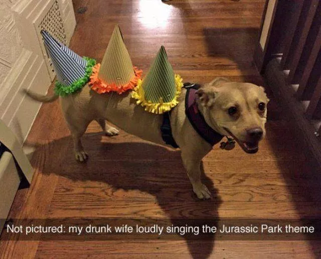 Picdump 435 - #14 